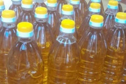 'Săn' hạt mắc-ca, óc chó… để ép dầu: Trào lưu mới của các bà nội trợ