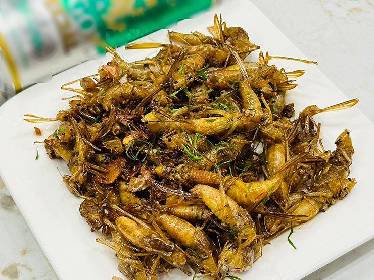 Cứ mỗi mùa lúa chín vàng, khi hương thơm của thóc mới lan tỏa khắp cánh đồng, cũng là lúc người dân quê bắt đầu bắt gặp những đàn muồm muỗm bay là là trên ngọn lúa