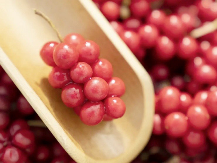 Loại quả dại xưa rụng đầy gốc không ai nhặt, nay lên đời giá 700.000 đồng/kg mang bán "hái ra tiền". Ảnh minh họa.