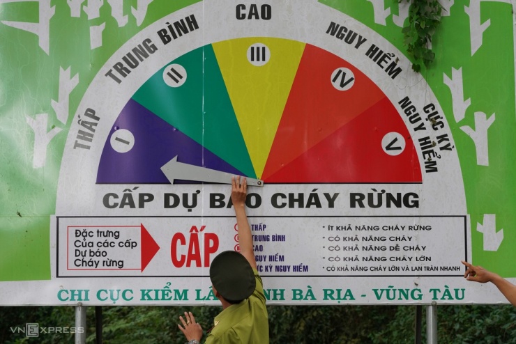 Rừng gỗ quý hơn 450 ha được trồng gần nửa thế kỷ - 12