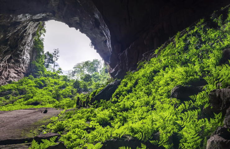 Những điều huyền bí, thú vị được phát hiện khi khám phá hố sụt sâu nhất Việt Nam - 7