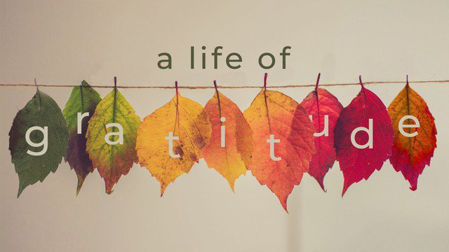 Dạy con điều này, cả đời sau cha mẹ không phải hối tiếc, con cái sống hạnh phúc hơn - 4