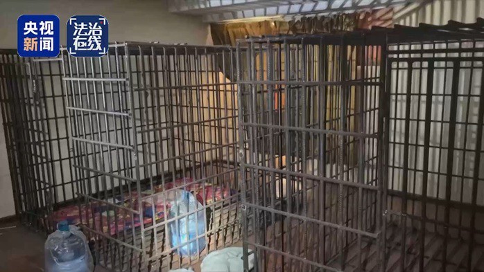 Lồng sắt. Ảnh: CCTV