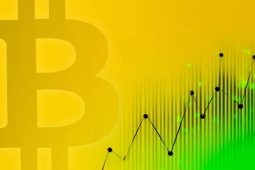 Điều gì thực sự chi phối giá Bitcoin và vàng?