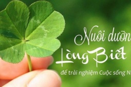 Dạy con điều này, cả đời sau cha mẹ không phải hối tiếc, con cái sống hạnh phúc hơn