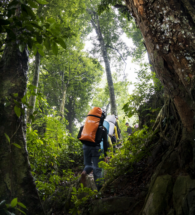 Những điều huyền bí, thú vị được phát hiện khi khám phá hố sụt sâu nhất Việt Nam - 5