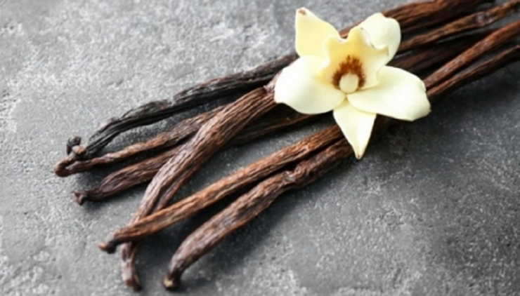 Loại quả đắt đỏ bậc nhất thế giới giá 15 triệu/kg, ở Việt Nam cũng có người trồng thành công - 3
