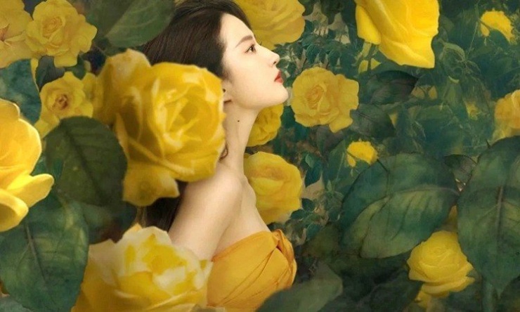 Trong phim Câu Chuyện Hoa Hồng, nhân vật của Lưu Diệc Phi tên Hoàng Diệc Mai nghĩa là hoa hồng vàng. Vậy là đủ để tạo thành trào lưu chụp ảnh với những đóa hồng vàng, để “xin vía” xinh đẹp, tài giỏi như Diệc Mai.