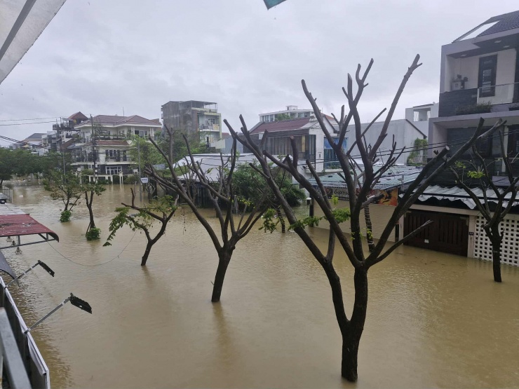 Khu vực phường Vỹ Dạ.
