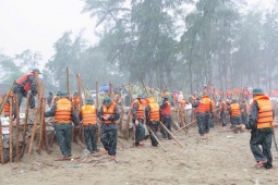 Các nhà khoa học phát hiện điều nguy hiểm sau mỗi cơn bão lớn