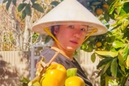 Vườn cây trĩu quả của Thúy Nga