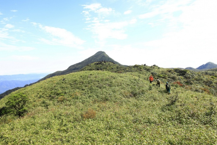 Đỉnh Voi Mẹp và Pa Thiên huyền ảo trong sương - 1