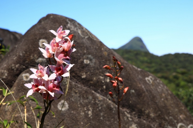 Đỉnh Voi Mẹp và Pa Thiên huyền ảo trong sương - 7