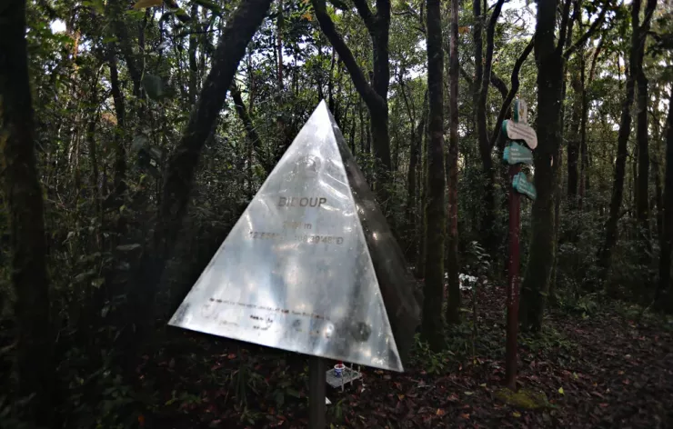 Chinh phục nóc nhà Nam Tây Nguyên với báu vật cây pơ mu 1.300 năm tuổi - 6