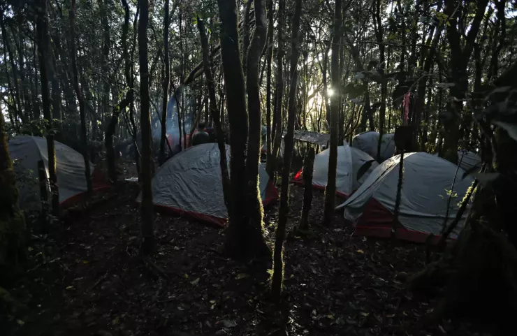 Chinh phục nóc nhà Nam Tây Nguyên với báu vật cây pơ mu 1.300 năm tuổi - 7