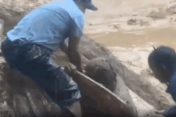 Tin tức trong ngày - CLIP: Cứu người đàn ông ở Đà Nẵng bị quả đồi sạt lở vùi lấp