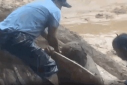 CLIP: Cứu người đàn ông ở Đà Nẵng bị quả đồi sạt lở vùi lấp