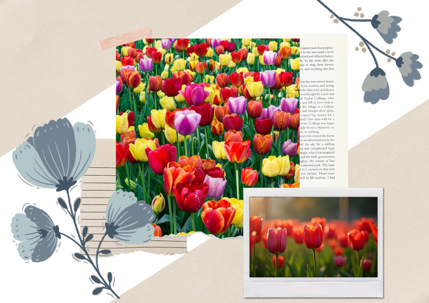 Giá vàng và chứng khoán biến động mạnh: Đây là điểm yếu chí mạng khiến NĐT “cháy túi” trong tích tắc - 9