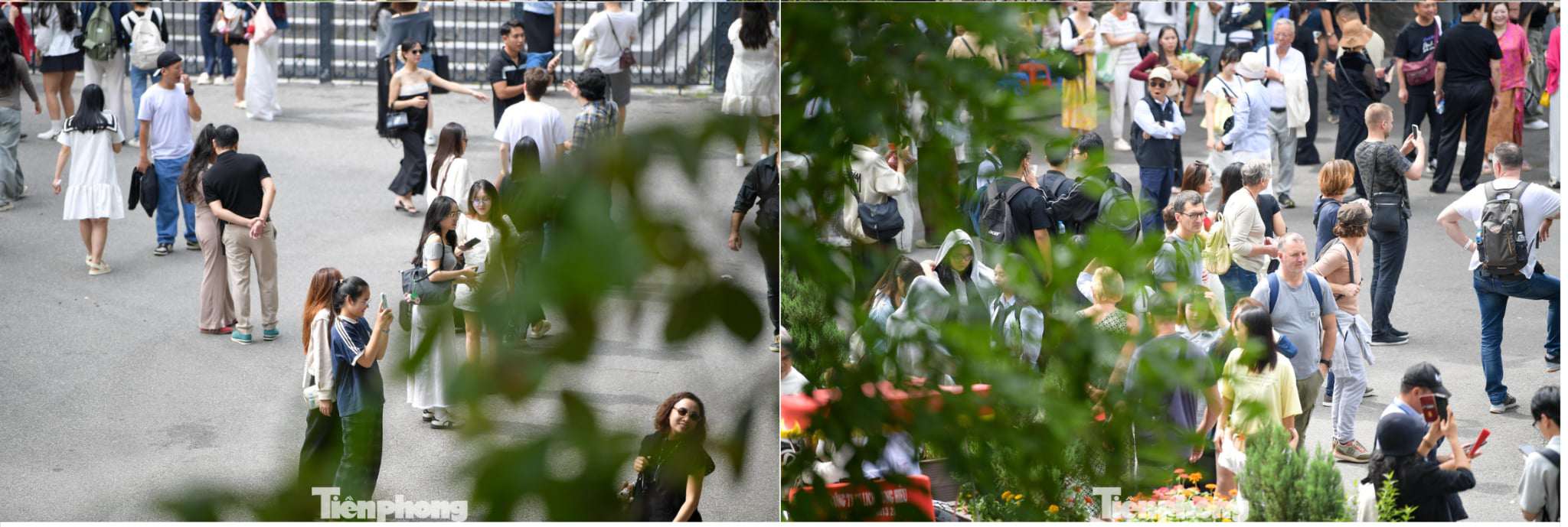 Hà Nội những ngày đẹp nhất năm: 'Mình cứ thấy như đang ở trong một bộ phim' - 3