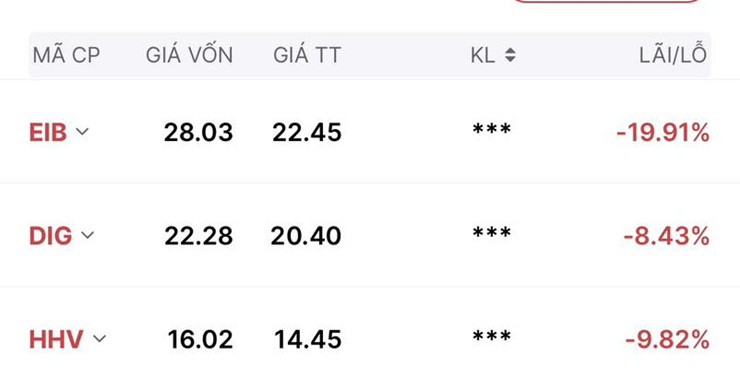 Nhà đầu tư lỗ nặng bởi đà giảm của thị trường chứng khoán thời gian gần đây