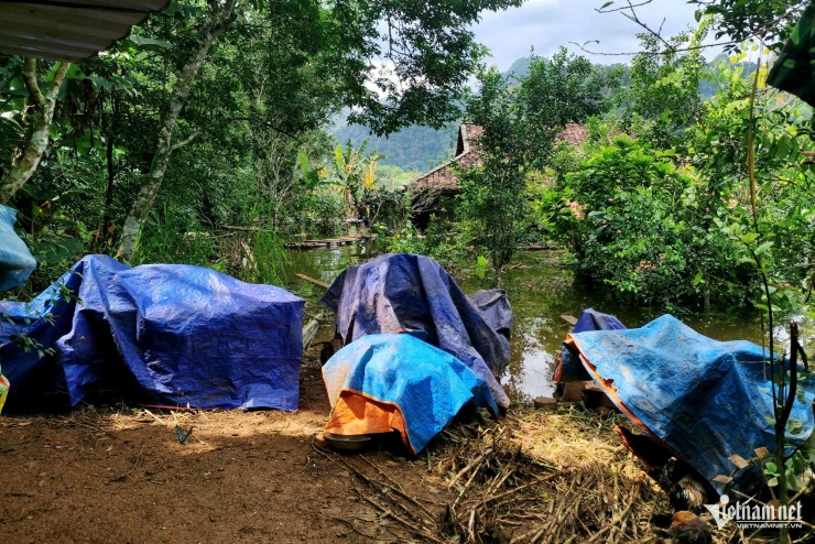 Cảnh tượng khó tin ở Lạng Sơn sau khi bão đi qua gần 1 tháng - 9