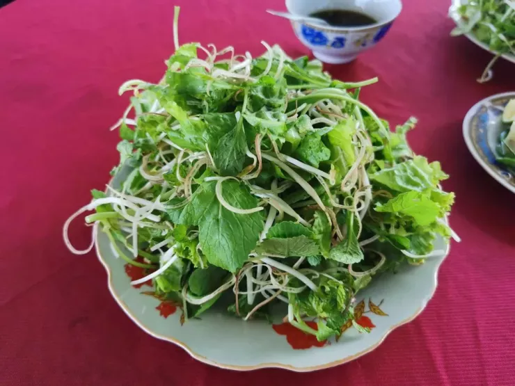 Bổ sung thực phẩm giàu lợi khuẩn (Probiotics). Ảnh: PHƯƠNG LÊ.