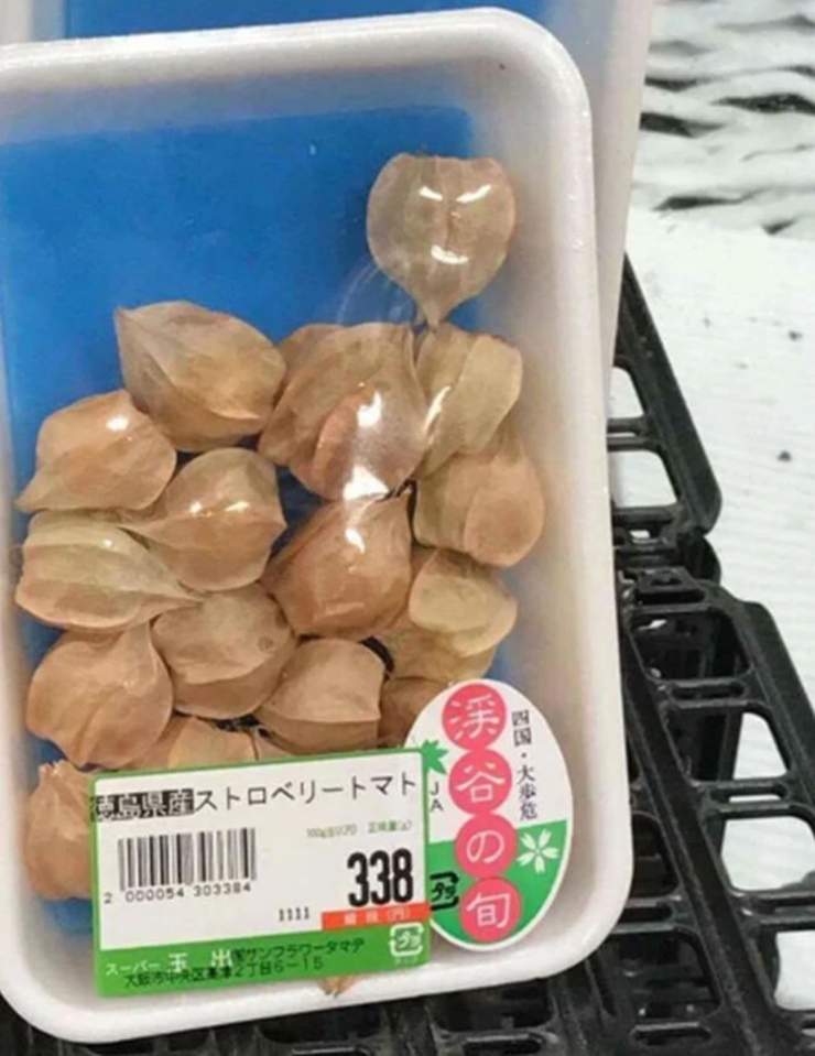 Cây dại mọc đầy ở Việt Nam, sang "trời Tây" bán hơn nửa triệu/kg - 3