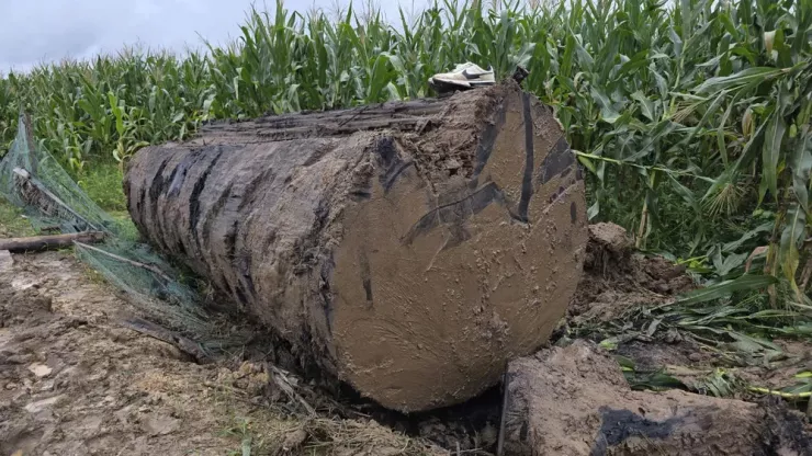 Bờ sông Ayun bị đào bới tan hoang để khai thác cây gỗ lạ khổng lồ - 9