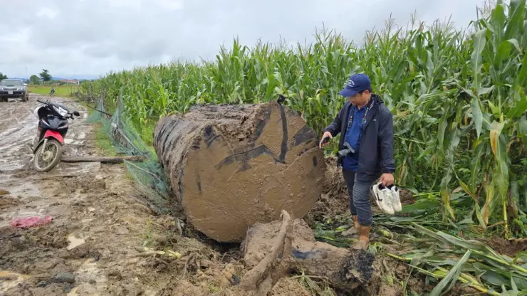 Cây gỗ được cắt khúc dài 4 m, đường kính khoảng 1,3 m đã được vận chuyển ra ngoài, cách hiện trường khoảng 500 m.