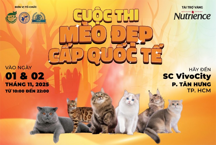 Siêu lễ hội Mèo Cưng – Mega Cat Fest 2025 trở lại với diện mạo bùng nổ - 4