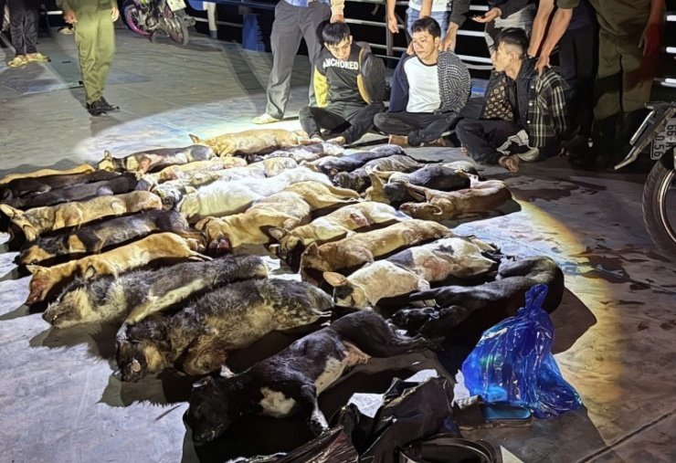 Các đối tượng trộm chó cùng tang vật. 