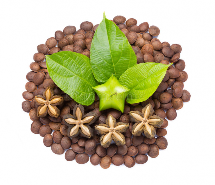 Loại hạt "đắt đỏ bậc nhất thế giới", ở Việt Nam cũng có mà ít ai hay - 2