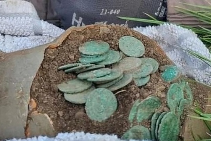 Dò kim loại trên cánh đồng, người đàn ông đào được kho báu quý giá