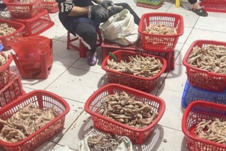 Phát hiện hàng tấn chân gà và xúc xích không rõ nguồn gốc ở Lạng Sơn