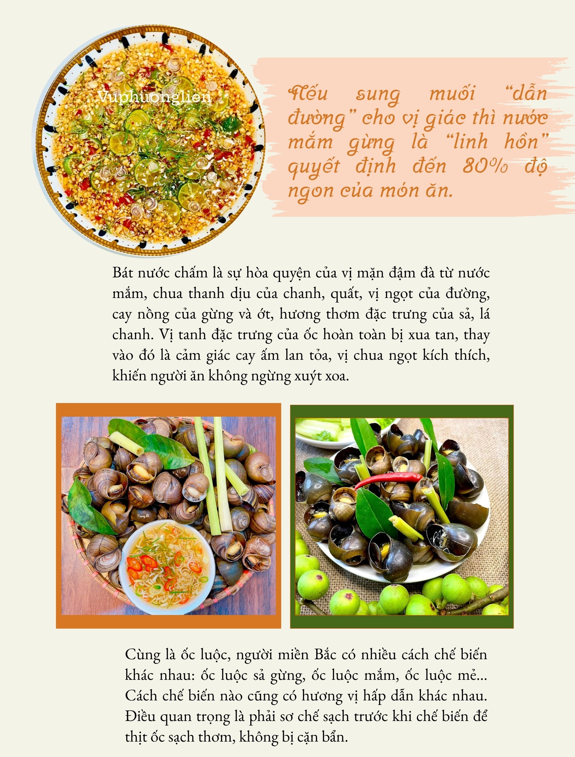 Những món ốc ngon 