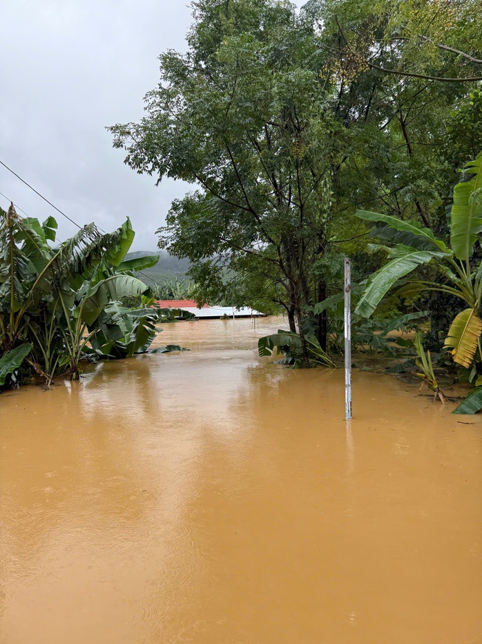 Lũ ở Đà Nẵng vượt mốc lịch sử 1964, người dân kêu cứu trong đêm - 8