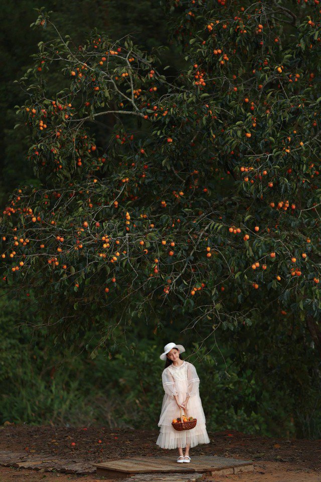 Huỳnh Viann được khen ngợi đẹp như nàng thơ, công chúa bước ra từ cổ tích.