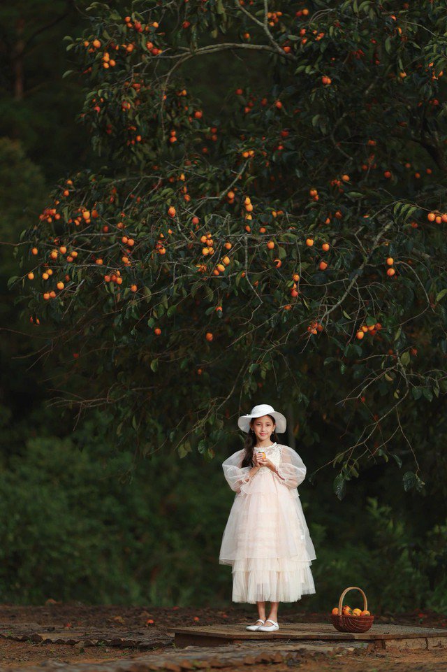 Cùng với lời chúc mừng tuổi mới, con gái Hà Kiều Anh còn nhận được nhận xét xinh như hoa hậu.