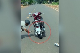 Clip: Hú vía người đàn ông dừng xe máy giữa đường để bắt rắn bò quanh gầm xe