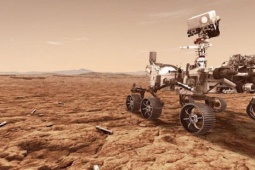 Một sinh vật Trái Đất có thể sống trên Sao Hỏa hiện tại