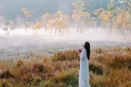 Suối Tía cõi tiên sương mờ hút hồn du khách giữa lòng Đà Lạt