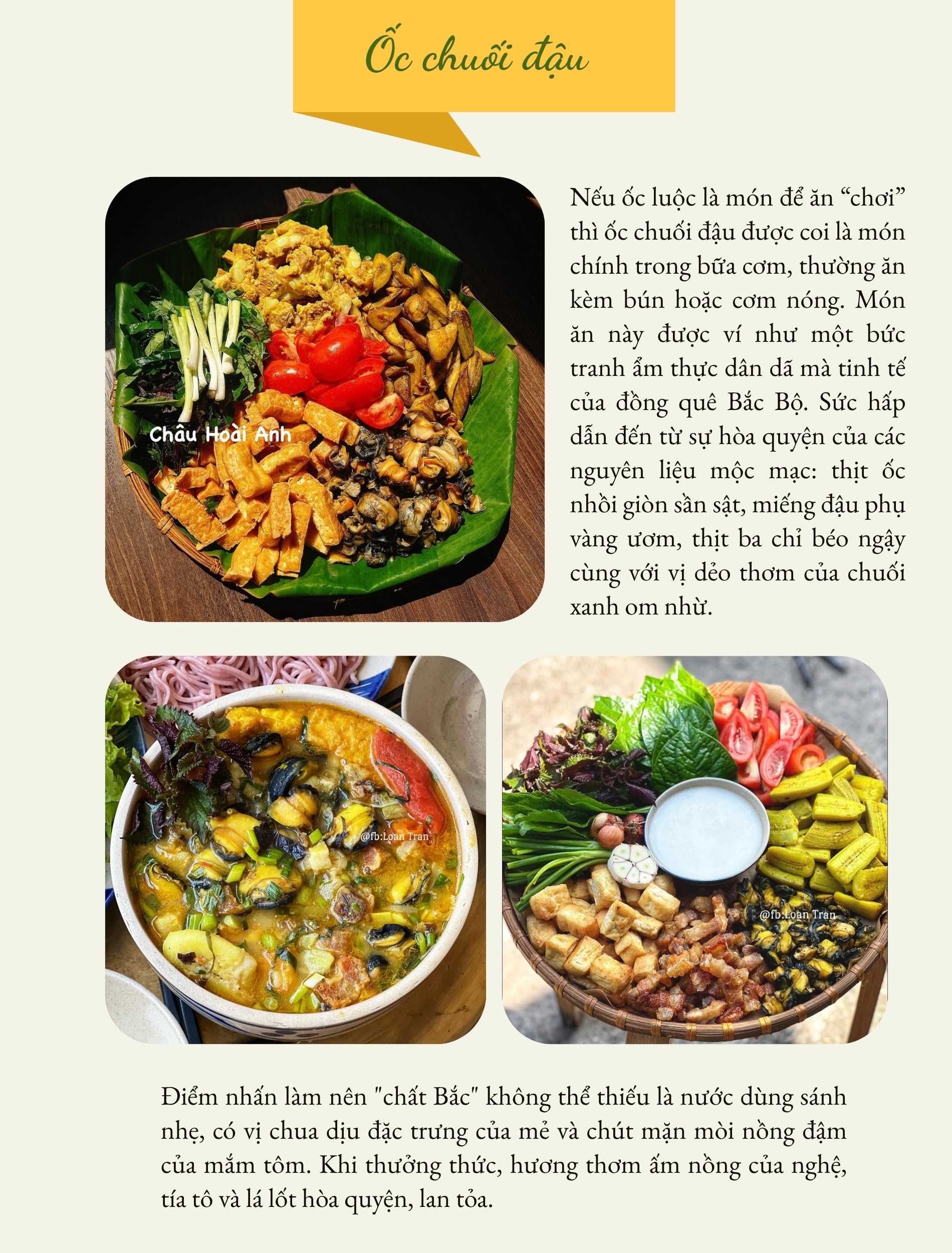 Những món ốc ngon 