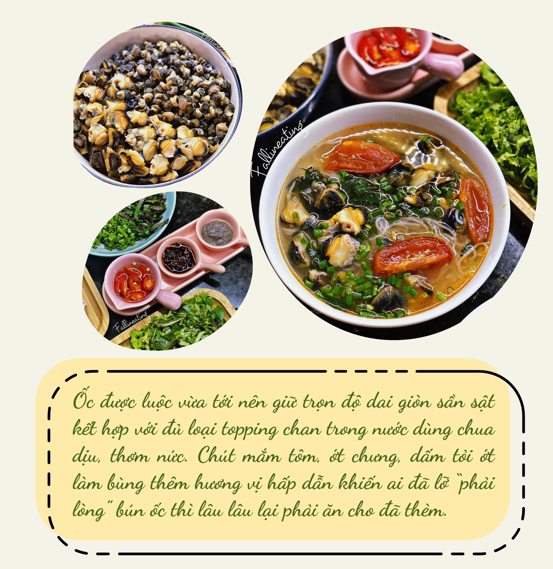 Những món ốc ngon 