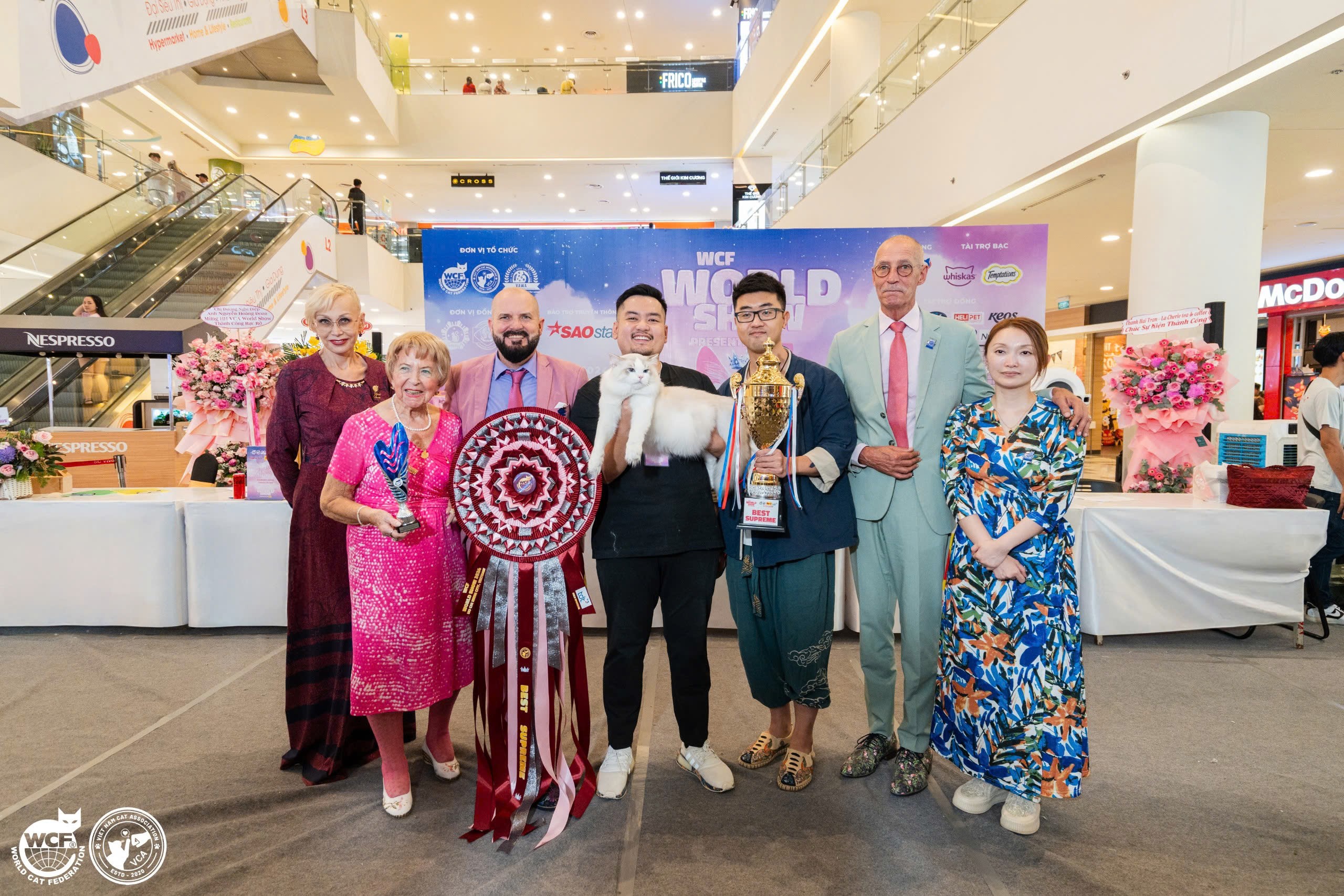 Chú mèo Ragdoll đăng quang Hoa hậu mèo Thế giới 2024