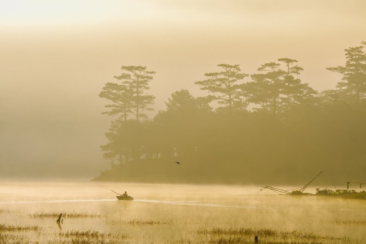 Giữa màn sương giăng buổi sớm, Suối Tía hiện lên như một bức tranh ma mị, nơi những hàng cây soi bóng xuống mặt nước tĩnh lặng, những ngư phủ trầm ngâm cùng chiếc thuyền nhỏ, tạo nên khung cảnh tựa phim kiếm hiệp. Ảnh Thu Trang