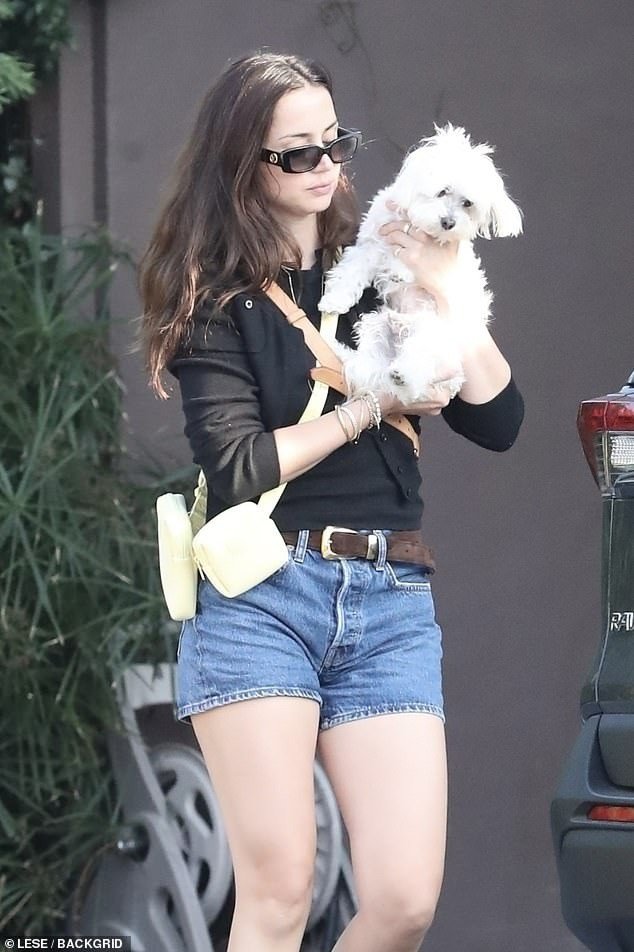 Ana de Armas đưa chó đi dạo ở Los Angeles vào ngày 28/10. Ảnh: BackGird.
