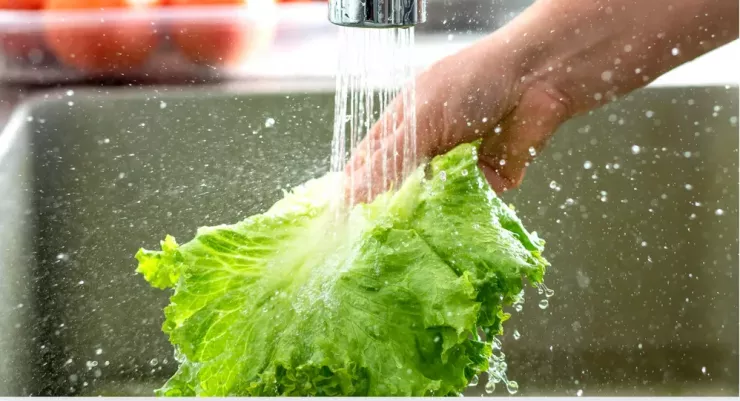 Ngâm rau lâu trong nước sẽ khiến chất dinh dưỡng bị hao hụt càng nhiều. Ảnh minh họa: Canva