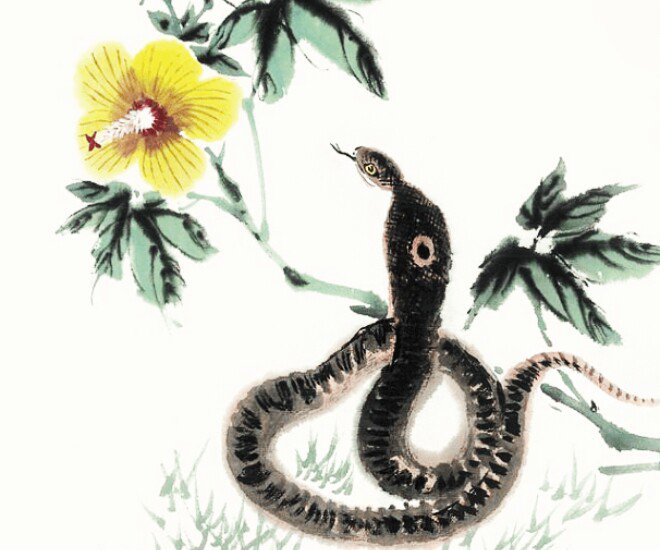 4 con giáp cuối năm đổi vận, năm sau phát tài - 1