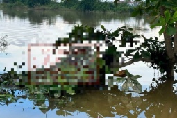 Phát hiện thi thể mắc trên cành cây giữa ruộng