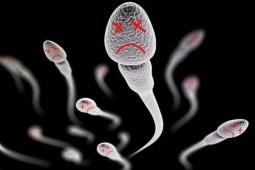 "Tinh binh" thay đổi như thế nào khi nam giới lớn tuổi?